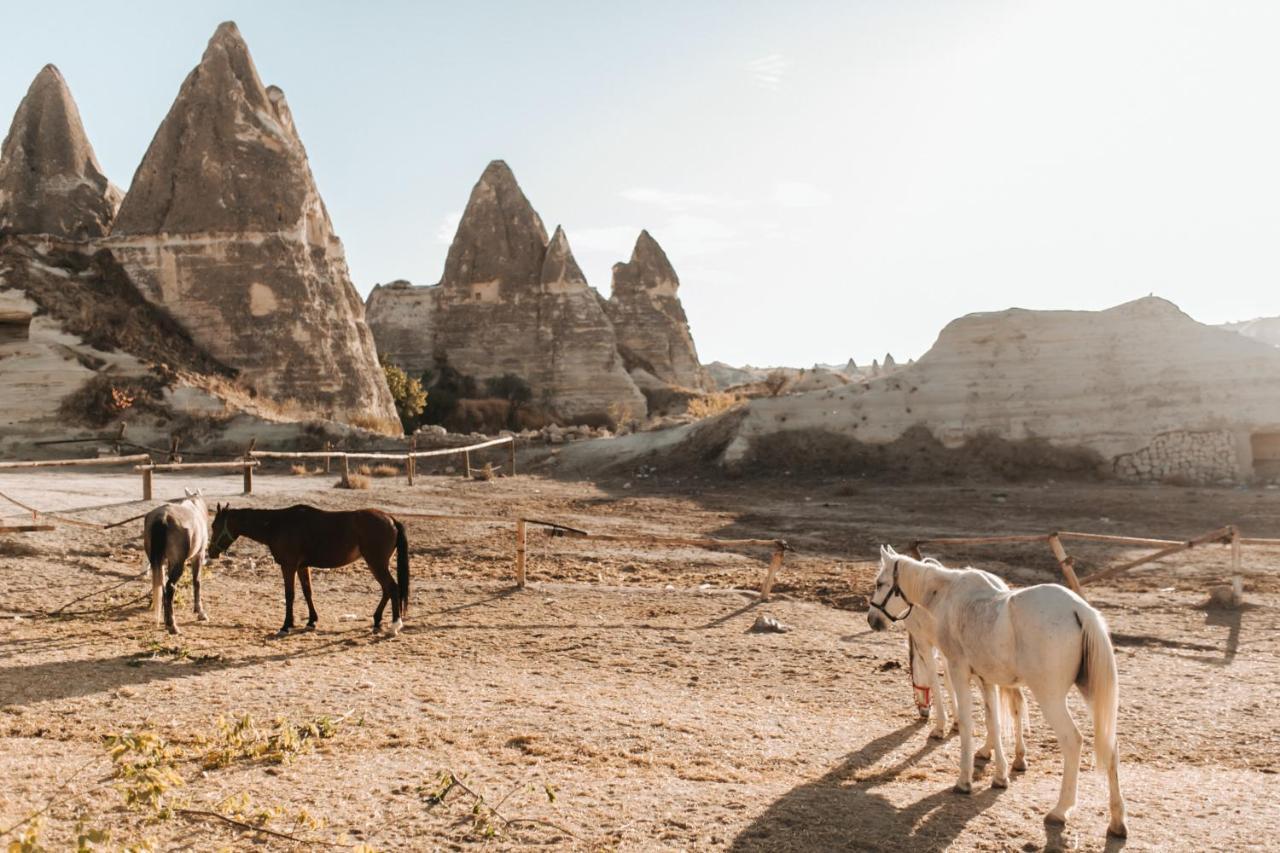 Sandik Cave Suites Nevşehir Zewnętrze zdjęcie