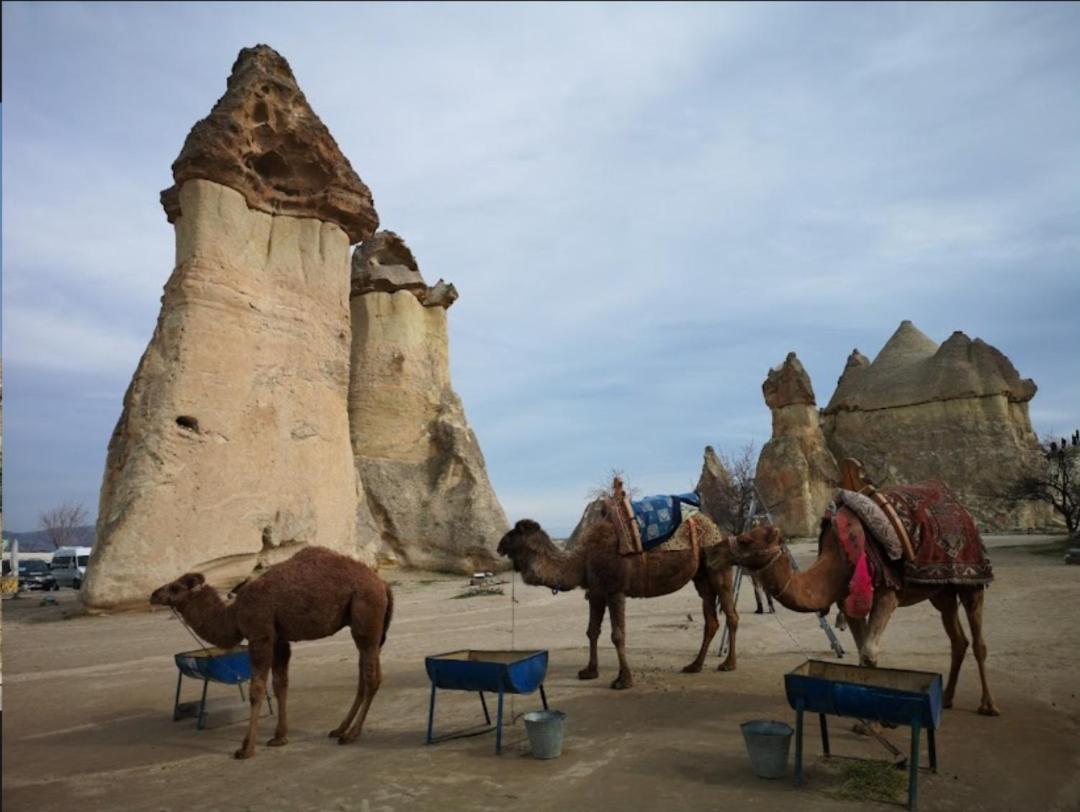 Sandik Cave Suites Nevşehir Zewnętrze zdjęcie